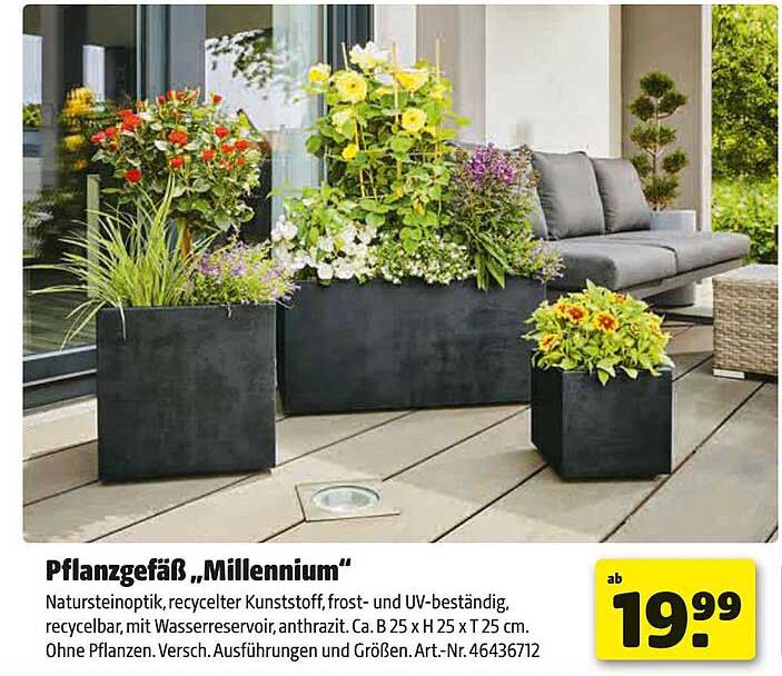 Pflanzgefäß „Millennium“