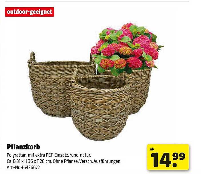 Pflanzkorb