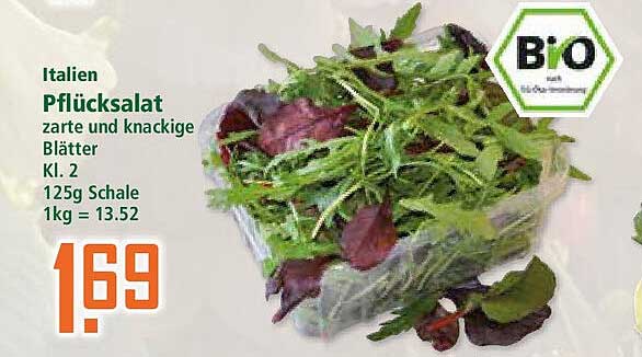 Pflücksalat – zarte und knackige Blätter