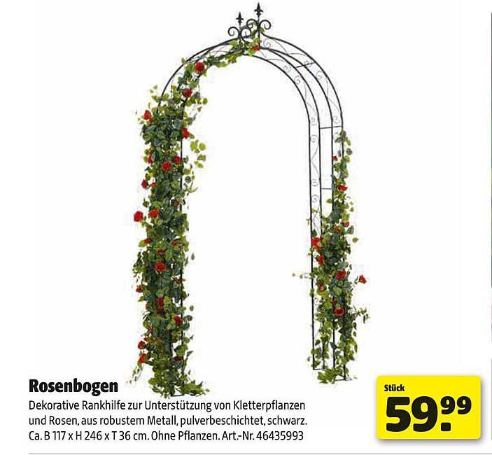 Rosenbogen