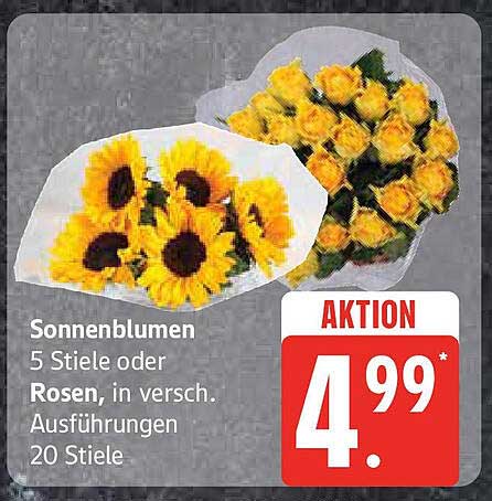 Sonnenblumen 5 Stiele oder Rosen, in verschiedenen Ausführungen 20 Stiele
