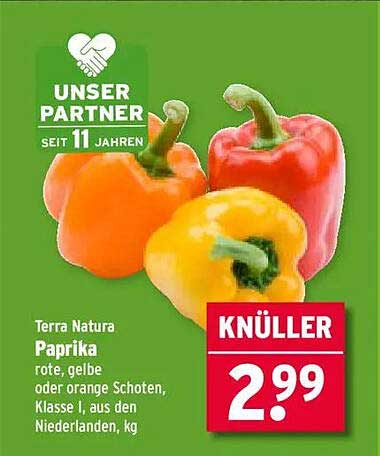 Terra Natura Paprika - rote, gelbe oder orange Schoten, Klasse I, aus den Niederlanden, kg