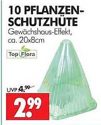 10 PFLANZEN-SCHUTZHÜTE