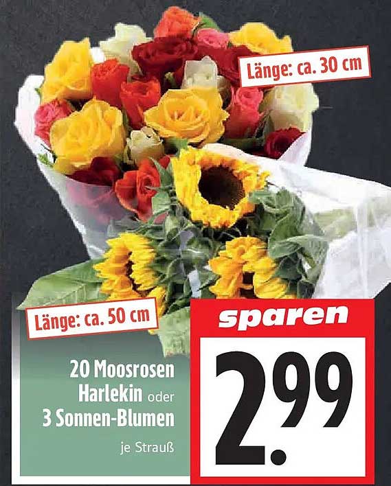 20 Moosrosen Harlekin oder 3 Sonnen-Blumen je Strauß