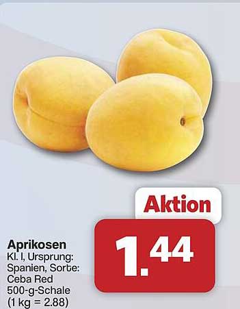 Aprikosen