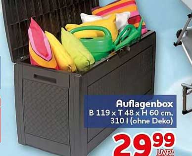 Auflagenbox B 119 x T 48 x H 60 cm, 310 l (ohne Deko)