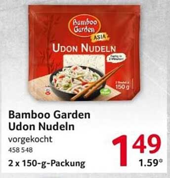 Bamboo Garden Udon Nudeln