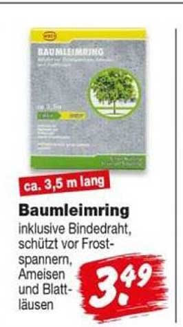 Baumleimring inklusive Bindedraht, schützt vor Frostspanner, Ameisen und Blattläusen