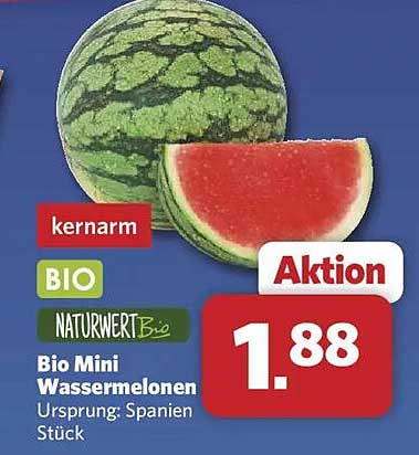 Bio Mini Wassermelonen