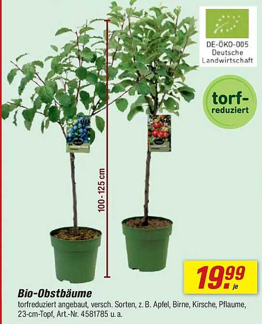 Bio-Obstbäume