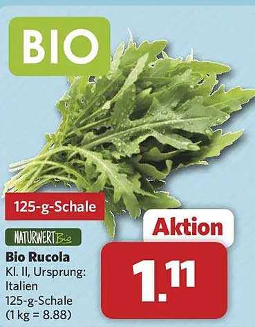 Bio Rucola