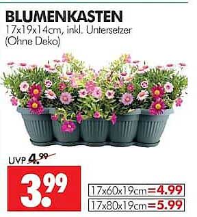 BLUMENKASTEN