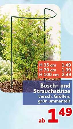 Busch- und Strauchstütze versch. Größen, grün ummantelt