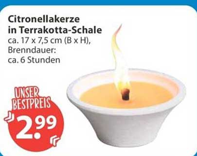 Citronellakerze in Terrakotta-Schale