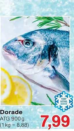 Dorade
