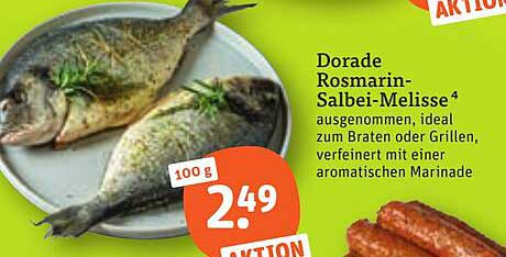 Dorade Rosmarin-Salbei-Melisse⁴