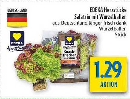 EDEKA Herzstücke Salatrio mit Wurzelballen aus Deutschland, länger frisch dank Wurzelballen Stück
