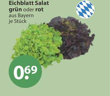 Eichblatt Salat grün oder rot aus Bayern je Stück