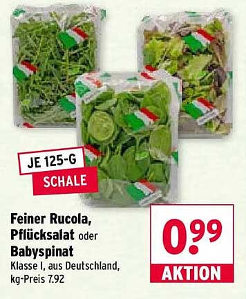 Feiner Rucola, Pflücksalat oder Babyspinat