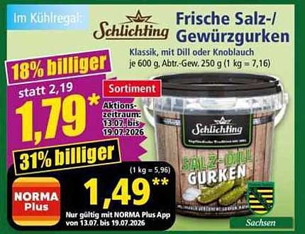 Frische Salz-/Gewürzgurken