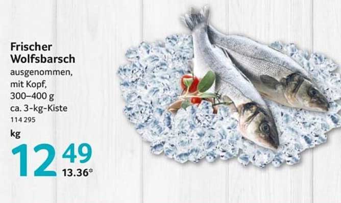 Frischer Wolfsbarsch