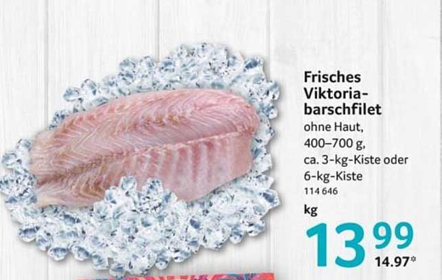 Frisches Viktoriabarschfilet