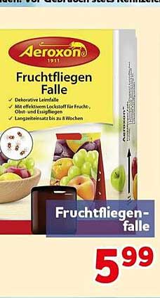 Fruchtfliegen-Falle