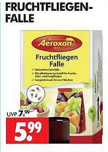 FRUCHTFLIEGEN-FALLE