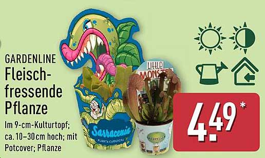 GARDENLINE Fleisch-fressende Pflanze