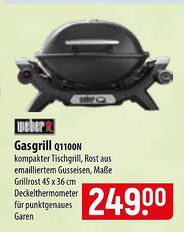 Gasgrill Q110N