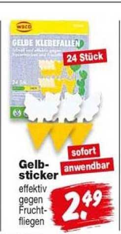 Gelb-sticker effektiv gegen Frucht-fliegen
