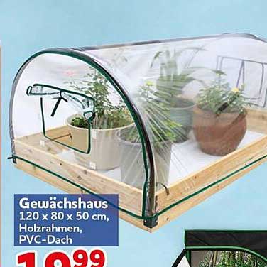 Gewächshaus 120 x 80 x 50 cm, Holzrahmen, PVC-Dach