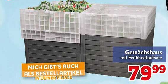 Gewächshaus mit Frühbeaufsatz
