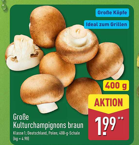 Große Kulturchampignons braun