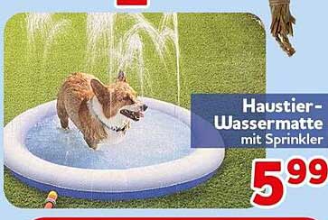 Haustier-Wassermatte mit Sprinkler