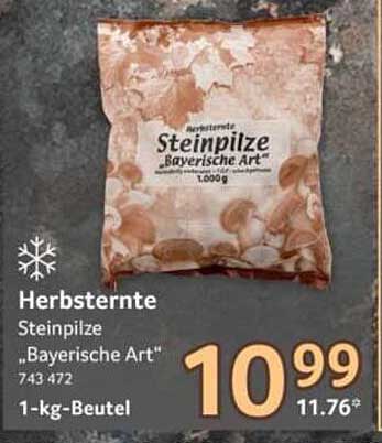 Herbsterte Steinpilze „Bayerische Art“ 743 472 1-kg-Beutel