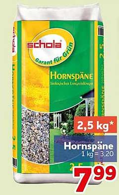 Hornspäne