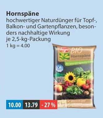 Hornspäne