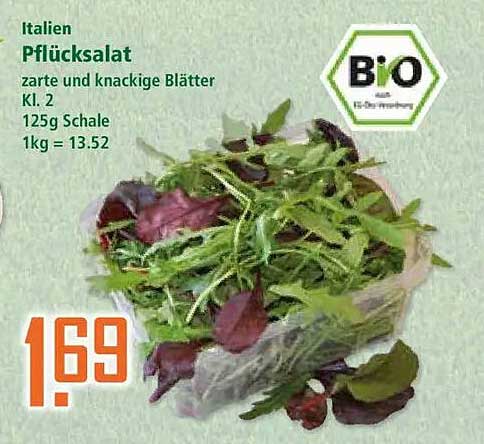 Italien Pflücksalat