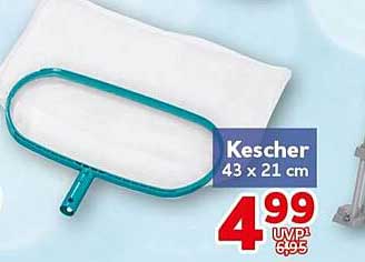 Kescher 43 x 21 cm