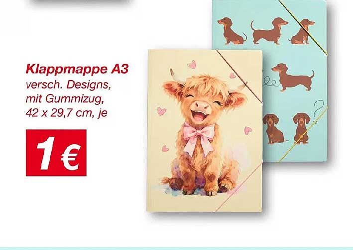 Klappmappe A3 versch. Designs, mit Gummizug, 42 x 29,7 cm, je