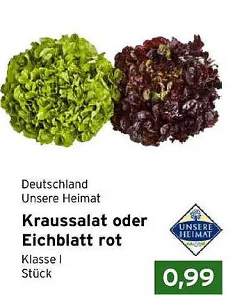 Kraussalat oder Eichblatt rot