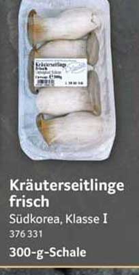 Kräuterseitlinge frisch