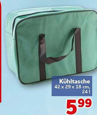 Kühltasche 42 x 29 x 18 cm, 24 l