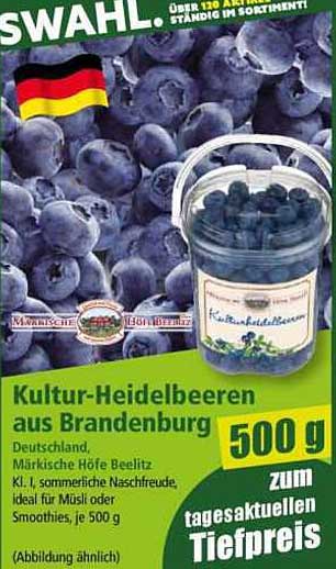 Kultur-Heidelbeeren aus Brandenburg
