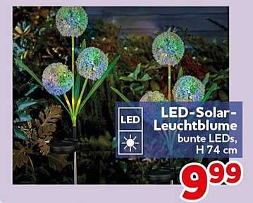 LED-Solar-Leuchtblume bunte LEDs, H 74 cm