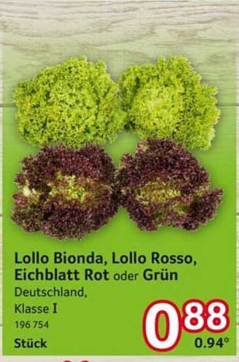 Lollo Bionda, Lollo Rosso, Eichblatt Rot oder Grün