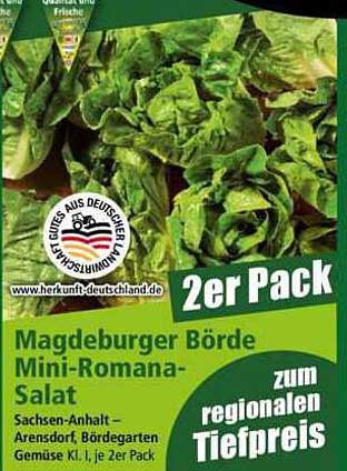 Magdeburger Börde Mini-Romana-Salat