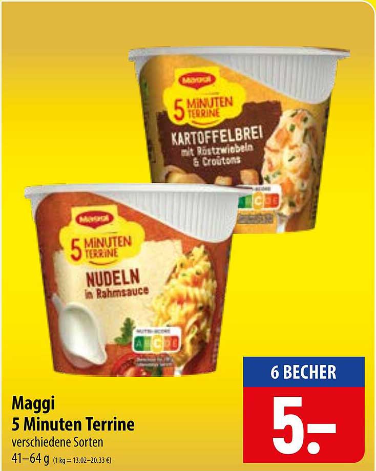 Maggi 5 Minuten Terrine verschiedene Sorten