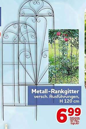 Metall-Rankgitter versch. Ausführungen, H 120 cm